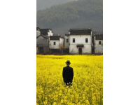 河北廊坊，男子獻(xiàn)血8次，卻在急用血時(shí)被告知獻(xiàn)血證過(guò)期，不能優(yōu)先用血！男子不能