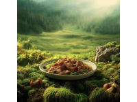 春日美食探秘：伊春風(fēng)情美食之旅