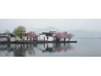 兩日游路線：武大櫻花+東湖綠道，這樣玩不繞路！