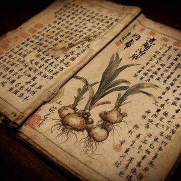 每天小知識(shí)，養(yǎng)生多一點(diǎn)點(diǎn)