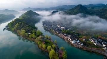 新安江畔三潭枇杷：山水間的甜蜜滋味