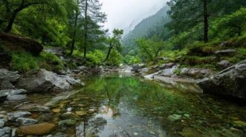 九寨溝一日游：奇幻探險(xiǎn)之旅，開啟你的山水童話之旅