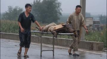當(dāng)年民國鎮(zhèn)上死了七個百姓，死者面青指蜷，繡花鞋旁遺著半只鞋子，縣里派來的巡警被逼退，局長一刀刺穿了案子。