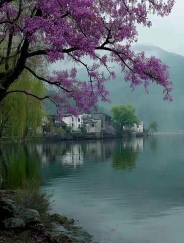 濃濃的茶香、絢爛的秋色、靜謐的湖光，開化景區(qū)有著一絲仙氣。