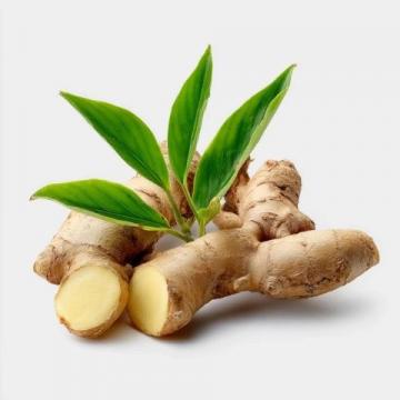 16片姜帶來的無盡驚喜和養(yǎng)生體驗(yàn)