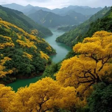 探索四川:融合自然與人文的頂級(jí)旅游景點(diǎn)指南