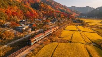 深秋踏青指南：一日徒步探險，竹影水韻古村落美食之旅
