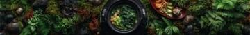 鄉(xiāng)野春日美食探索：傳統(tǒng)與自然的美味交響曲