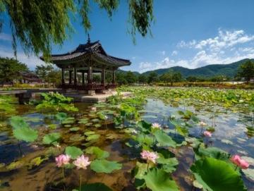 五一假期保定周邊游：探索直隸總督署與古蓮花池之外的美景