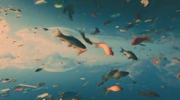 阜陽(yáng)河道刀魚(yú)泛濫村民狂撈背后是生態(tài)改善信號(hào)？