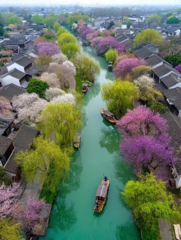 心馳神往！廣西橫州茉莉花之旅不容錯過