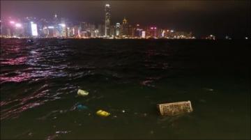 蠔友贊生蠔構(gòu)建起的跨海食光
