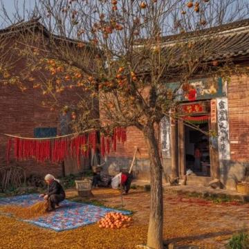 周口農(nóng)村：春節(jié)前軍叔跟風種蘑菇村民：他們家常年的生意