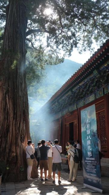 青島高中生參加合格考，校外午餐偶遇嶗山美景