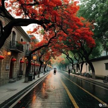 上海周末游橫店攻略：深度探訪廣州街與香港街景區(qū)體驗