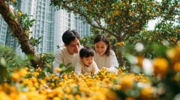 實(shí)況記錄云端花園的春日盛景：杜鵑花海、親子活動(dòng)與自然之美