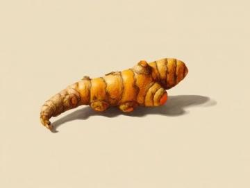 16片姜帶來的無盡驚喜和養(yǎng)生體驗(yàn)