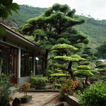 到高密城郊雙羊鎮(zhèn)云來山莊，品農(nóng)家樂的野味盛宴