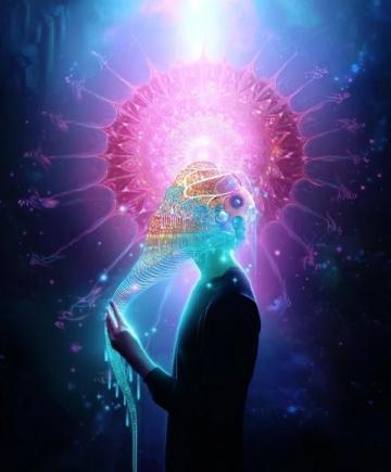 震驚！七大逆天冷知識揭秘，末一條令人瞠目結(jié)舌！