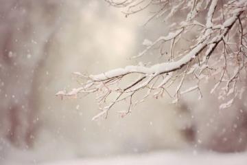 朋友圈各地飄雪，溫暖冬日期待一場(chǎng)大雪紛飛；在寧靜中迎接新年，祈愿生活更美好