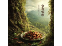 小廟龍湖地塊案名揭曉，美食城小區(qū)地塊信息公示