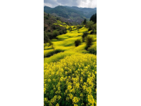 求分享！你有沒有拍過袁家村的隨手風(fēng)景照？