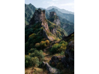 從武夷山回來(lái)了…