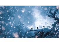 金佛山耍雪攻略：兩天一夜玩樂指南來襲！