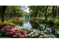 如果說江永縣是永州市一顆璀璨的