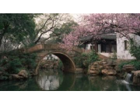 成都：一個(gè)讓人來了就不想離開的魅力都市
