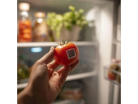 十大食品安全小常識(shí),字?jǐn)?shù)在10到40個(gè)字之間。