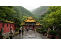 今天去了溧水東廬山觀音寺，傅家邊賞梅，太值了！關(guān)鍵免票，免票！機(jī)智南京旅攻