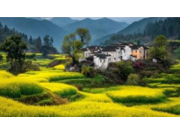 皖南春節(jié)之旅，體驗(yàn)非凡韻味年節(jié)