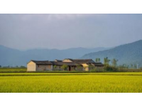 甘南旅游全攻略|行前必看，避坑&寶藏玩法一網(wǎng)打盡