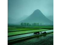 貴州羊肉粉：山河史詩里的味覺記憶