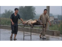 當(dāng)年民國(guó)鎮(zhèn)上死了七個(gè)百姓，死者面青指蜷，繡花鞋旁遺著半只鞋子，縣里派來的巡警被逼退，局長(zhǎng)一刀刺穿了案子。