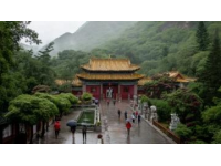 九寨溝一日游：奇幻探險(xiǎn)之旅，開啟你的山水童話之旅