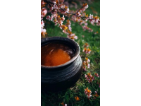 家常海帶豬蹄湯，滋補(bǔ)養(yǎng)生兩不誤