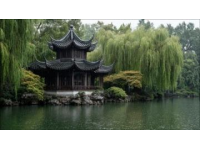 熏仔在杭州你系最迷人噶，你知嘛?