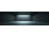 **一、基本信息**