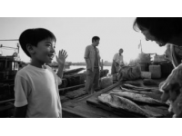 冬至特輯：家鄉(xiāng)石浦漁港帶魚凍喚醒童年記憶