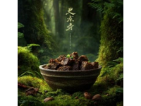 紅樓夢美食復刻師：32年還原56道經(jīng)典菜肴吸引百萬網(wǎng)友關注