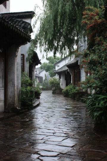 微風(fēng)微風(fēng)帶大家走進(jìn)杭州塘西，也就是大家熟知的塘棲古鎮(zhèn)