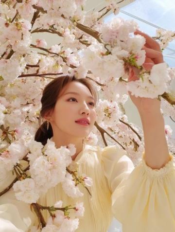 天津清明賞花哪里好？這份海棠花觀賞指南請(qǐng)收好！
