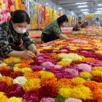 春節(jié)途經(jīng)雞街收費站：對紅河人而言，這里充滿回憶與鄉(xiāng)愁
