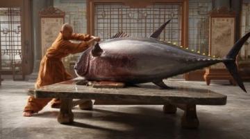 進(jìn)去！我只收釣費(fèi)，不提供魚,這件事在沈陽的社交媒體上引發(fā)了熱議