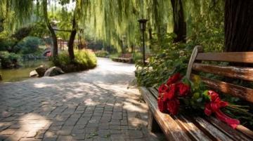 蘇州東沙湖公園：春風(fēng)中綻放的花季盛宴