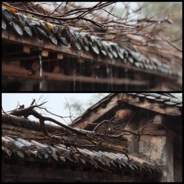 煙雨江南，味蕾飄香