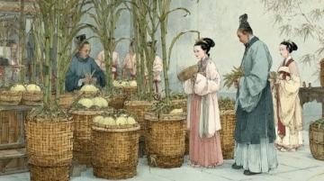 紅樓夢(mèng)中的姑蘇風(fēng)韻:曹雪芹筆下的蘇州描繪及特色物產(chǎn)