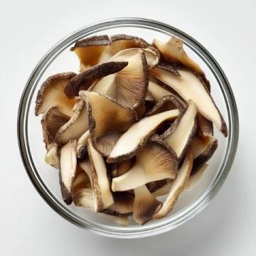 菌類食物安全注意事項